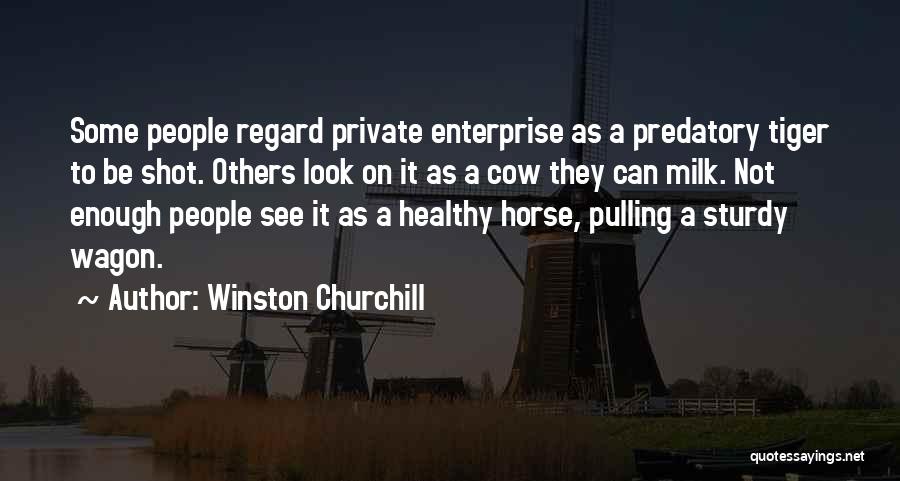 Horse Pulling Quotes By Winston Churchill