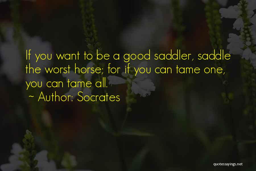 Horse Quotes By Socrates