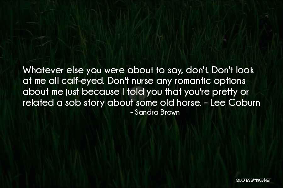 Horse Related Quotes By Sandra Brown Horse Related Quotes By Sandra Brown