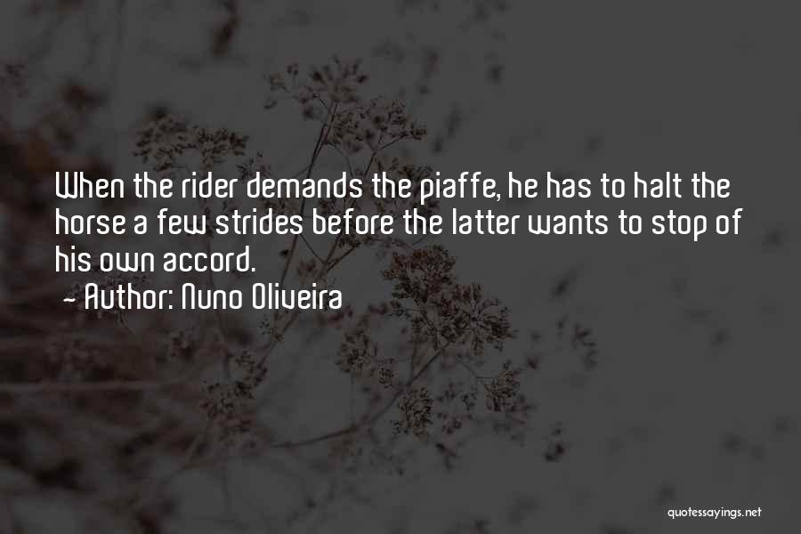 Horse Rider Quotes By Nuno Oliveira