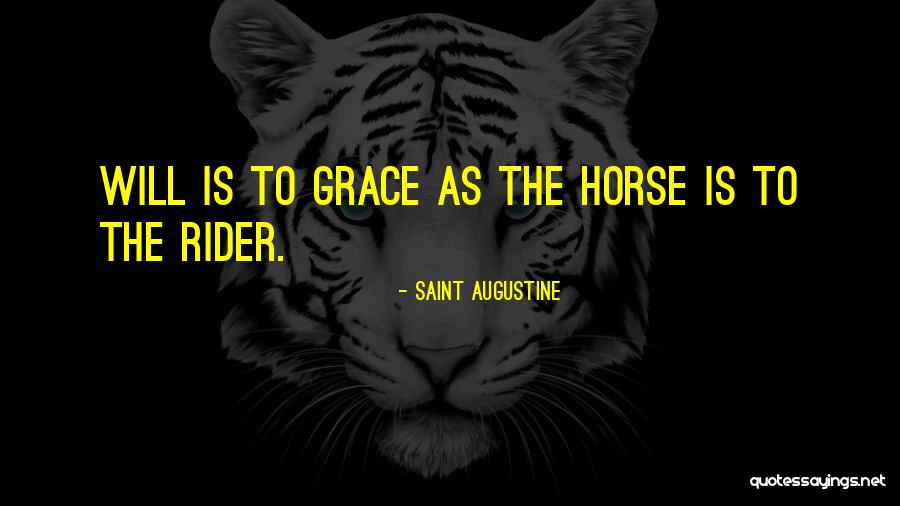 Horse Rider Quotes By Saint Augustine