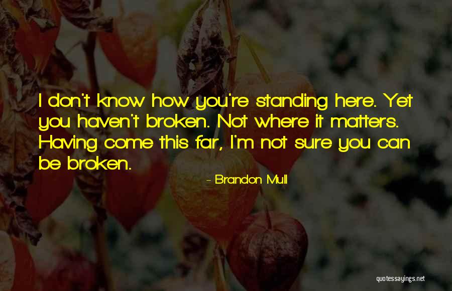 Horse Rolling Quotes By Brandon Mull Horse Rolling Quotes By Brandon Mull