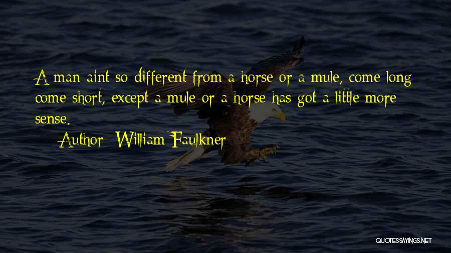 Horse Sense Quotes By William Faulkner