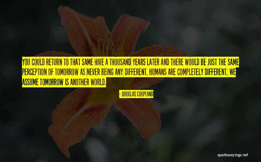 Horse Shipper Quotes By Douglas Coupland Horse Shipper Quotes By Douglas Coupland