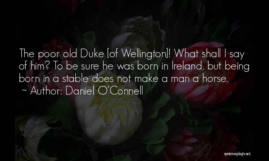 Horse Stable Quotes By Daniel O'Connell