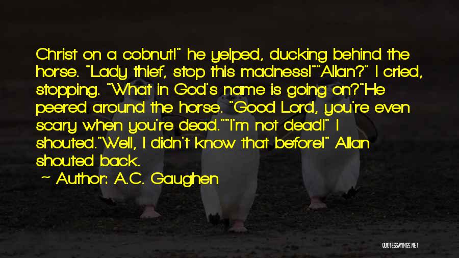 Horse Thief Quotes By A.C. Gaughen