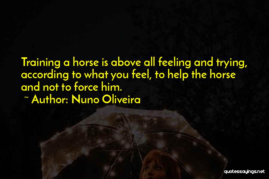 Horse Training Quotes By Nuno Oliveira