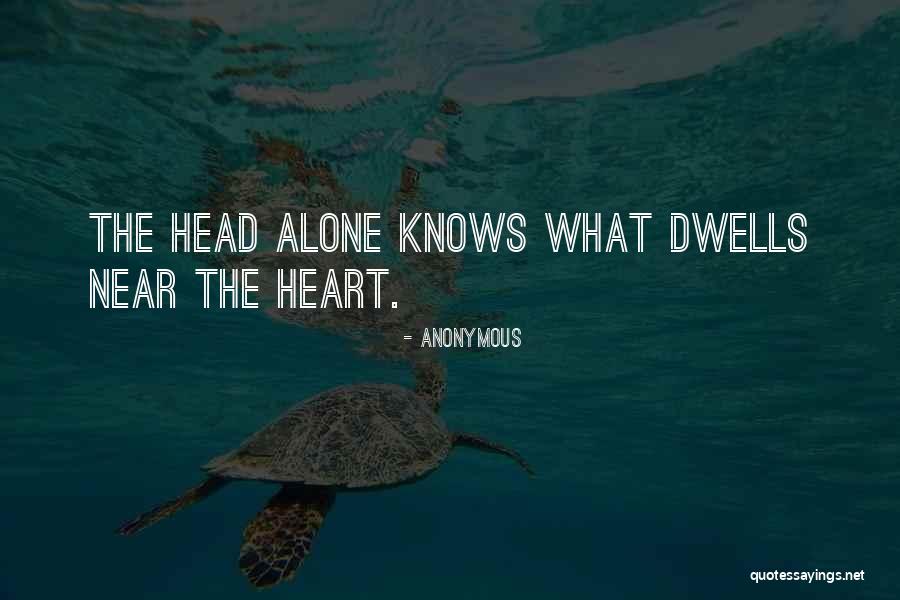 Horse Whips Auschwitz Quotes By Anonymous Horse Whips Auschwitz Quotes By Anonymous