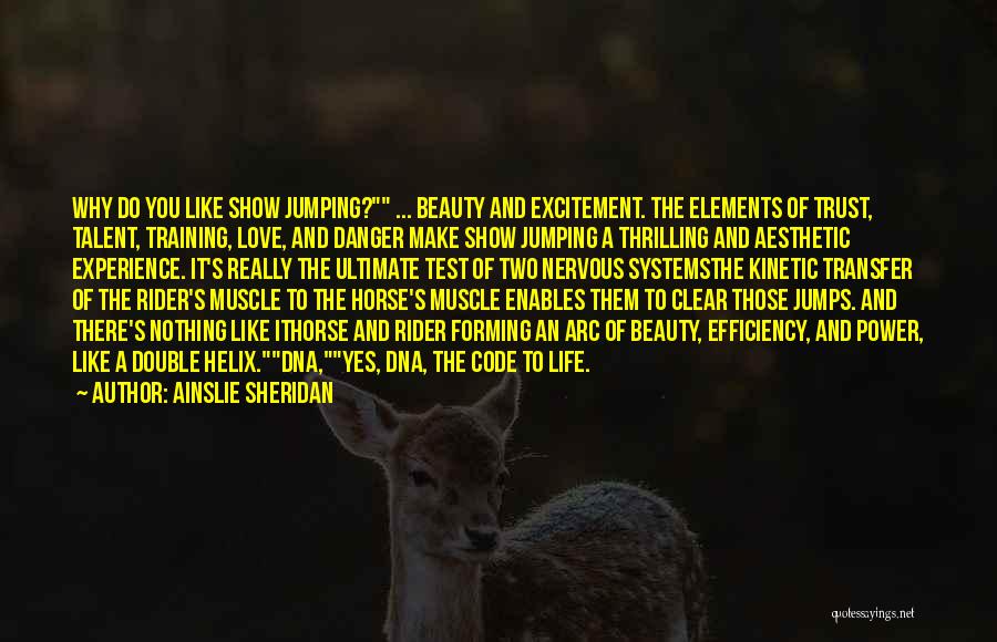 Horses And Beauty Quotes By Ainslie Sheridan