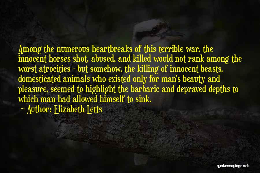 Horses And Beauty Quotes By Elizabeth Letts