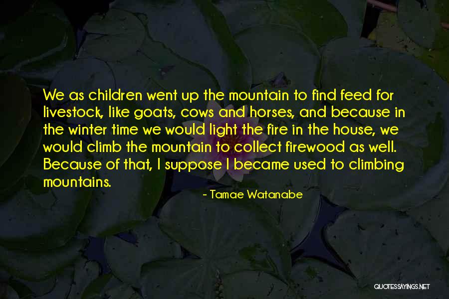 Horses And Children Quotes By Tamae Watanabe Horses And Children Quotes By Tamae Watanabe