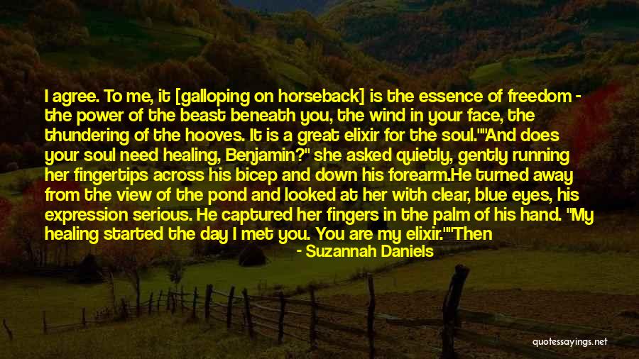 Horses And Freedom Quotes By Suzannah Daniels Horses And Freedom Quotes By Suzannah Daniels