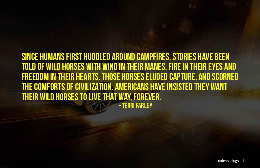 Horses And Freedom Quotes By Terri Farley