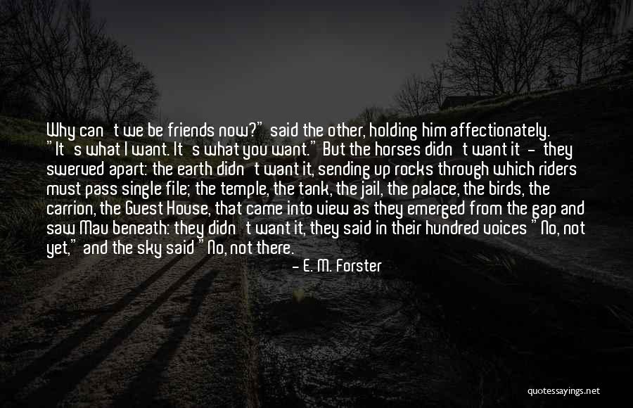 Horses And Friends Quotes By E. M. Forster