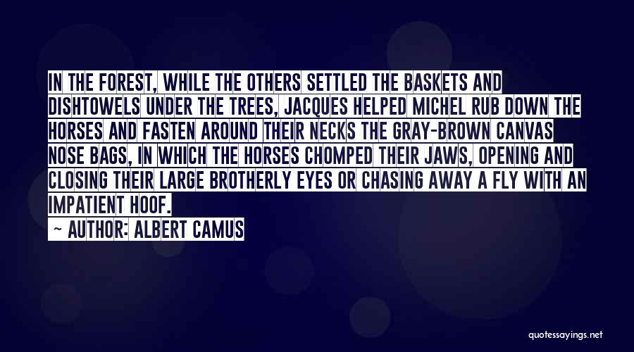 Horses And Their Eyes Quotes By Albert Camus