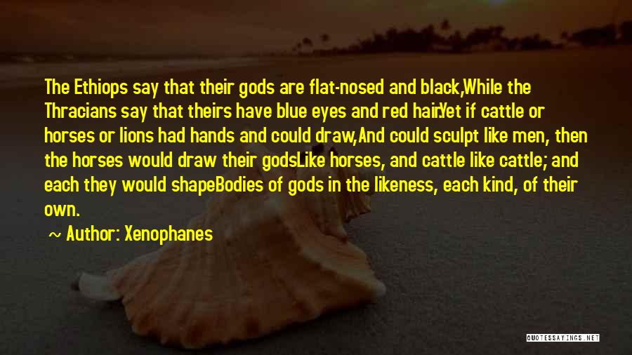 Horses And Their Eyes Quotes By Xenophanes