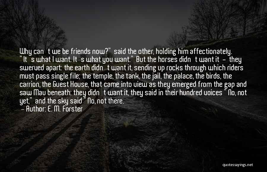 Horses And Their Riders Quotes By E. M. Forster