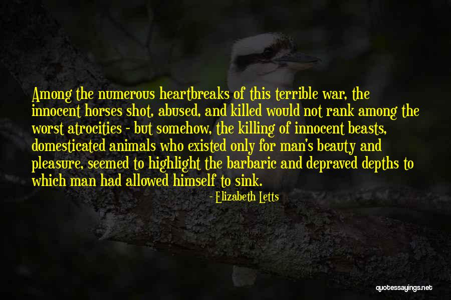 Horses Beauty Quotes By Elizabeth Letts Horses Beauty Quotes By Elizabeth Letts