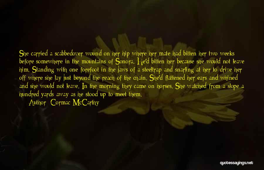 Horses Ears Quotes By Cormac McCarthy