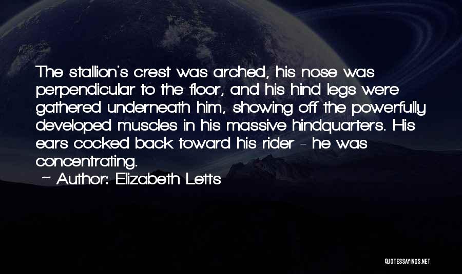 Horses Ears Quotes By Elizabeth Letts