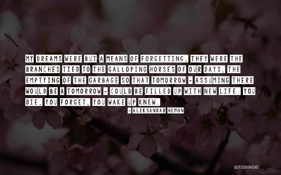 Horses Galloping Quotes By Aleksandar Hemon Horses Galloping Quotes By Aleksandar Hemon