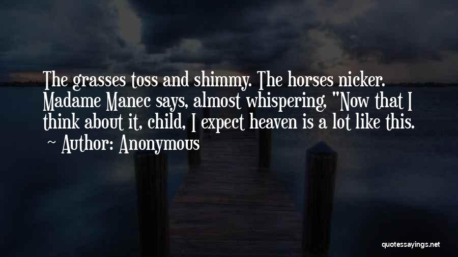 Horses Go To Heaven Quotes By Anonymous