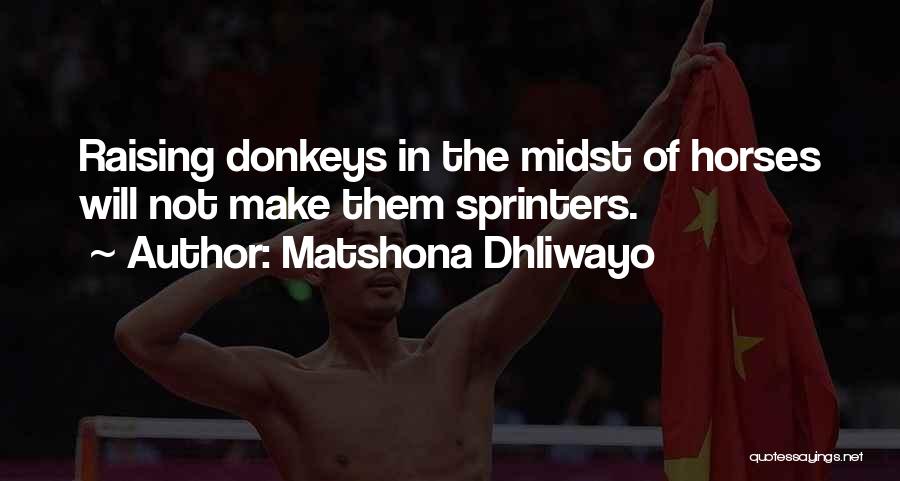 Horses Sayings And Quotes By Matshona Dhliwayo