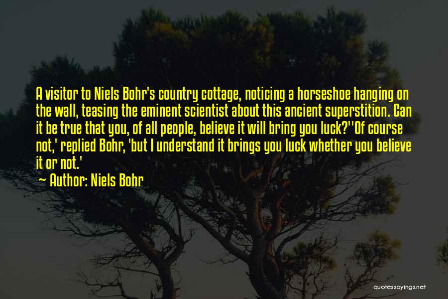 Horseshoe Quotes By Niels Bohr