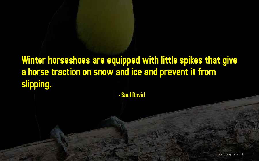 Horseshoes Quotes By Saul David