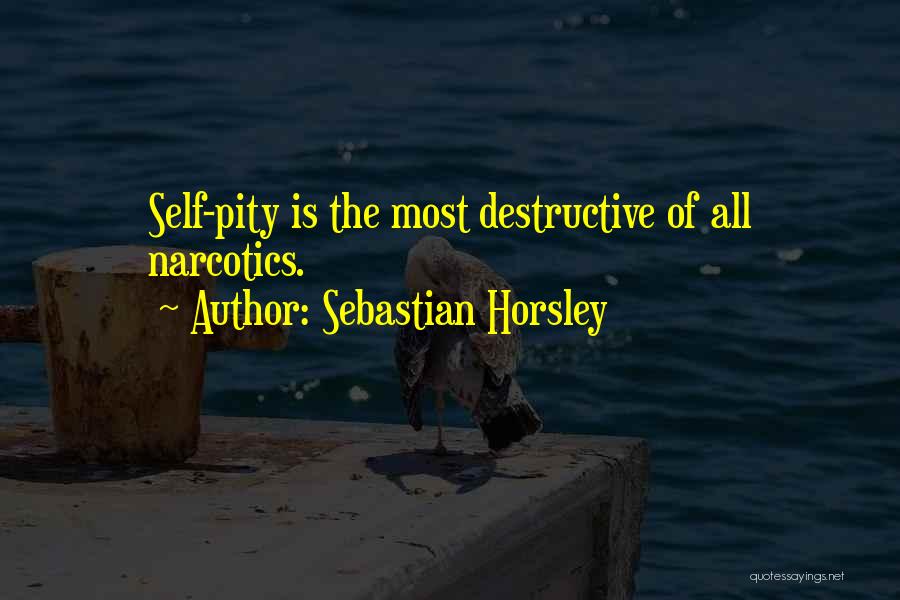 Horsley Quotes By Sebastian Horsley