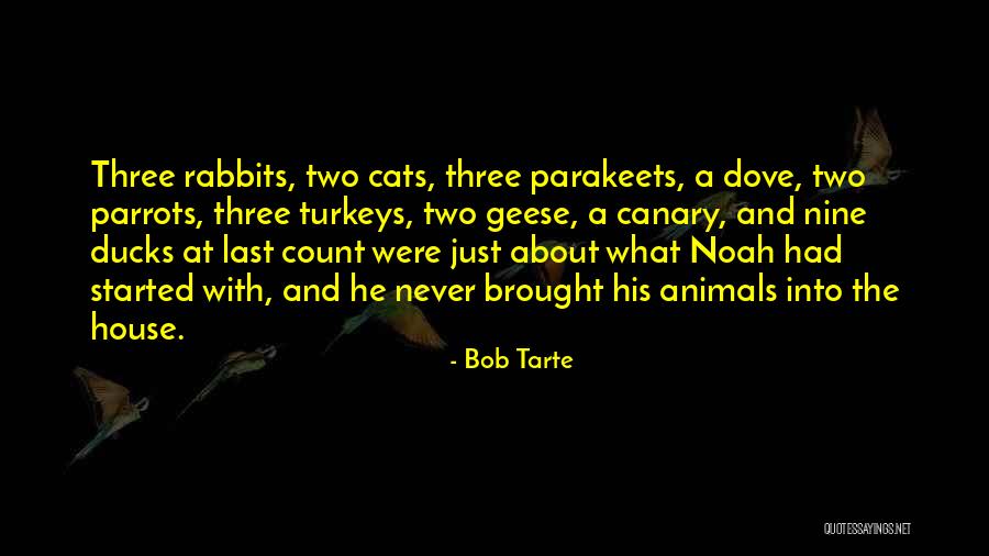 Horstmann Silberlocke Quotes By Bob Tarte Horstmann Silberlocke Quotes By Bob Tarte