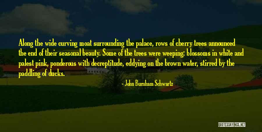 Horsy Pokemon Quotes By John Burnham Schwartz Horsy Pokemon Quotes By John Burnham Schwartz