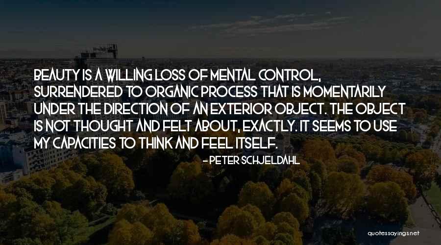 Hortaleza Online Quotes By Peter Schjeldahl
