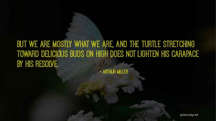 Hortalizas Significado Quotes By Arthur Miller Hortalizas Significado Quotes By Arthur Miller
