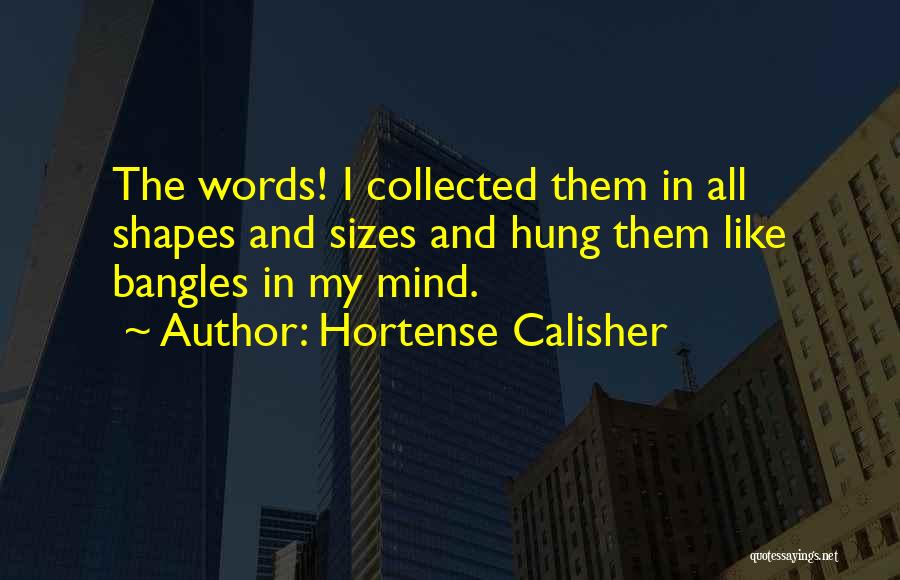 Hortense Calisher Quotes 1715469