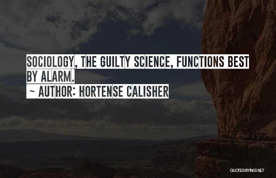 Hortense Calisher Quotes 98574