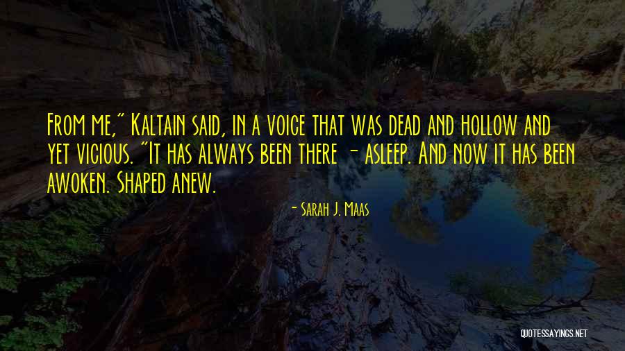 Horton Hears A Who Quotes By Sarah J. Maas Horton Hears A Who Quotes By Sarah J. Maas