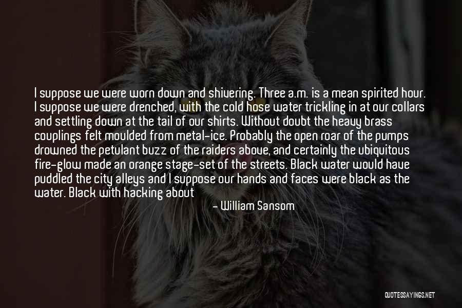 Hose Quotes By William Sansom Hose Quotes By William Sansom