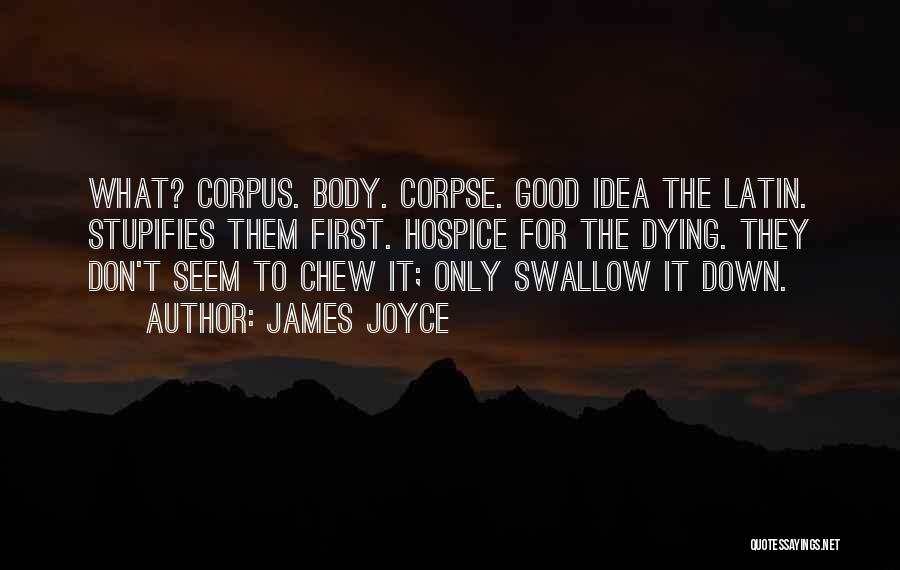 Hospice Quotes By James Joyce