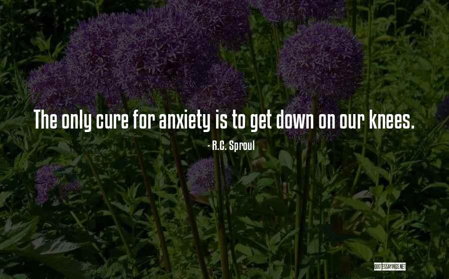 Hospital Patient Satisfaction Quotes By R.C. Sproul Hospital Patient Satisfaction Quotes By R.C. Sproul