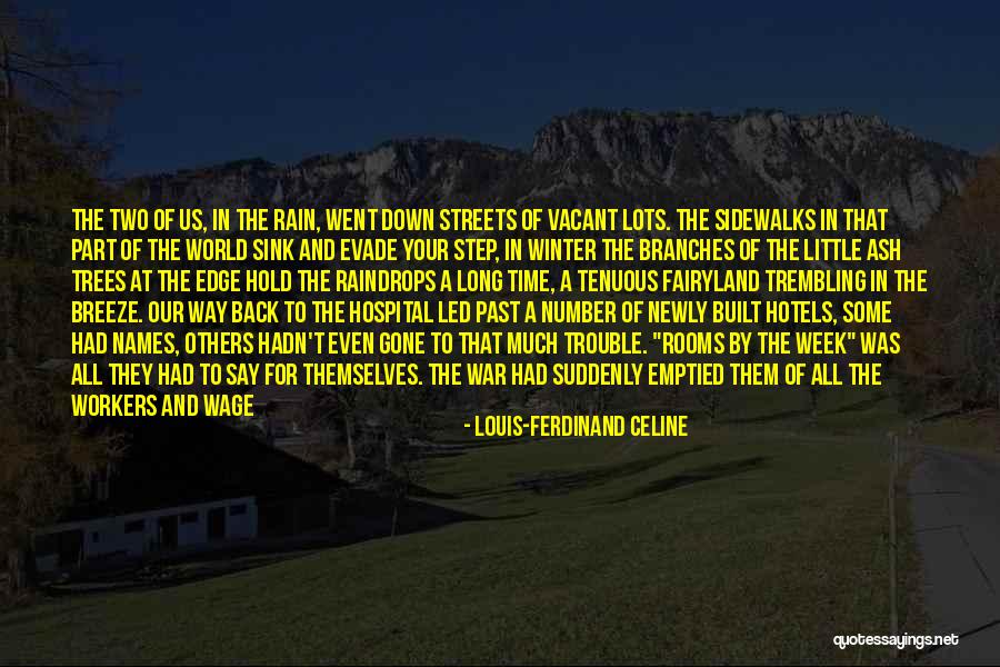 Hospital Week Quotes By Louis-Ferdinand Celine Hospital Week Quotes By Louis-Ferdinand Celine