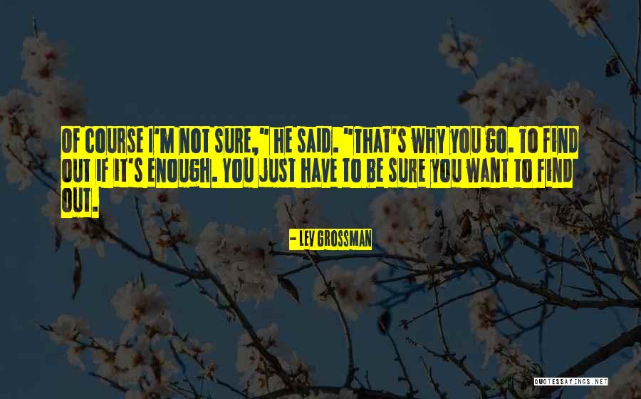 Hossam Hassan Quotes By Lev Grossman Hossam Hassan Quotes By Lev Grossman