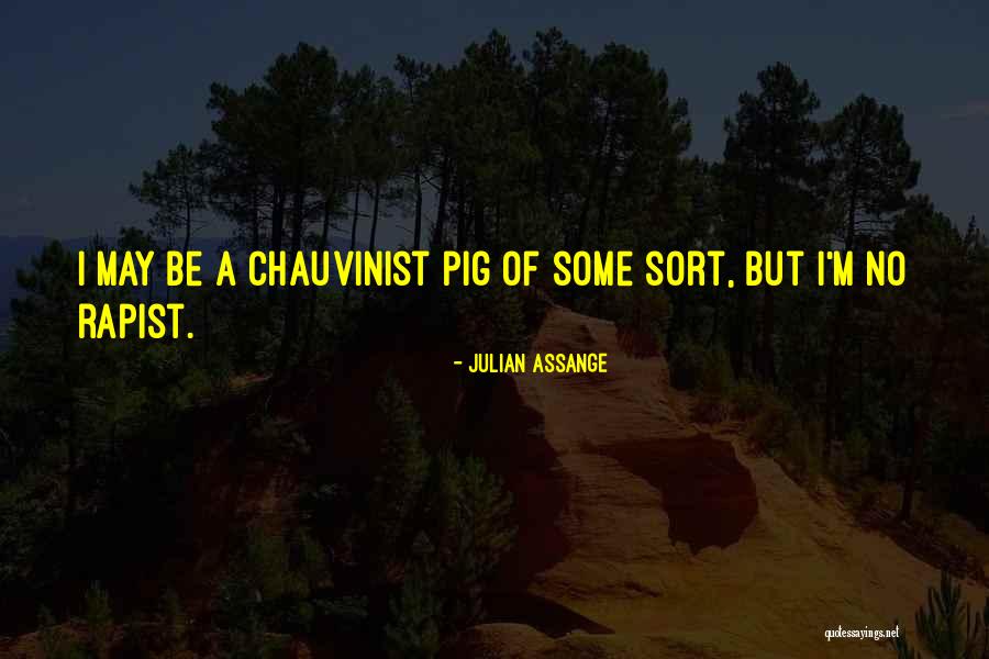 Hostert Ofstellgleis Quotes By Julian Assange Hostert Ofstellgleis Quotes By Julian Assange