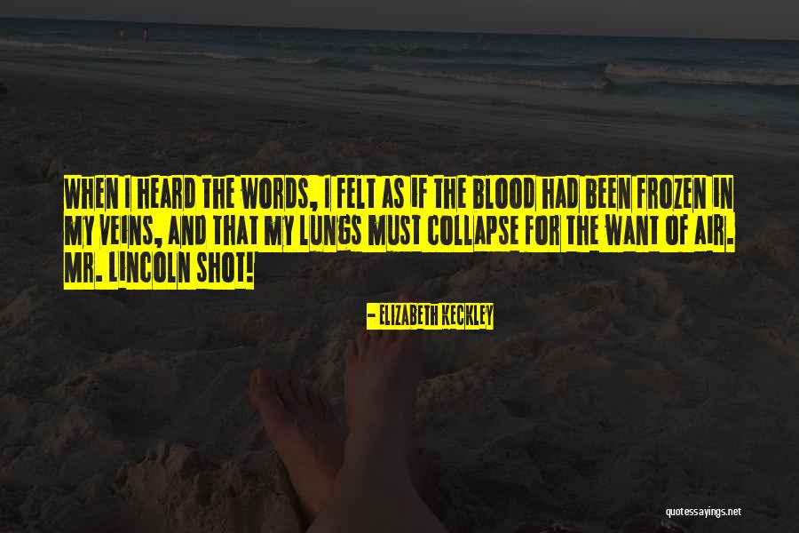 Hostileness Quotes By Elizabeth Keckley Hostileness Quotes By Elizabeth Keckley