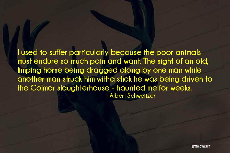 Hostler Define Quotes By Albert Schweitzer Hostler Define Quotes By Albert Schweitzer