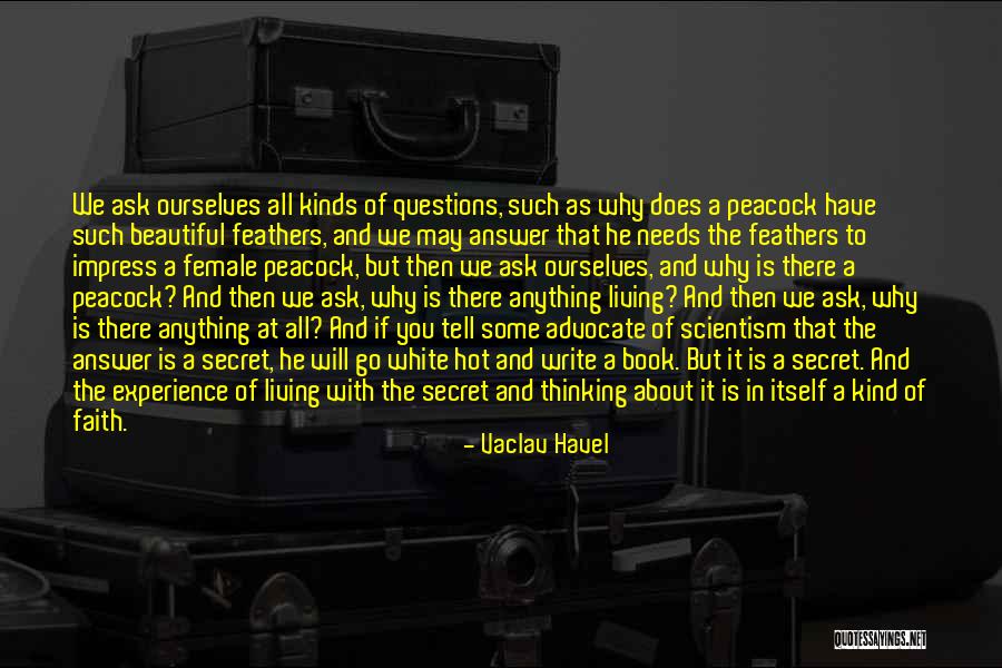 Hot And Beautiful Quotes By Vaclav Havel Hot And Beautiful Quotes By Vaclav Havel