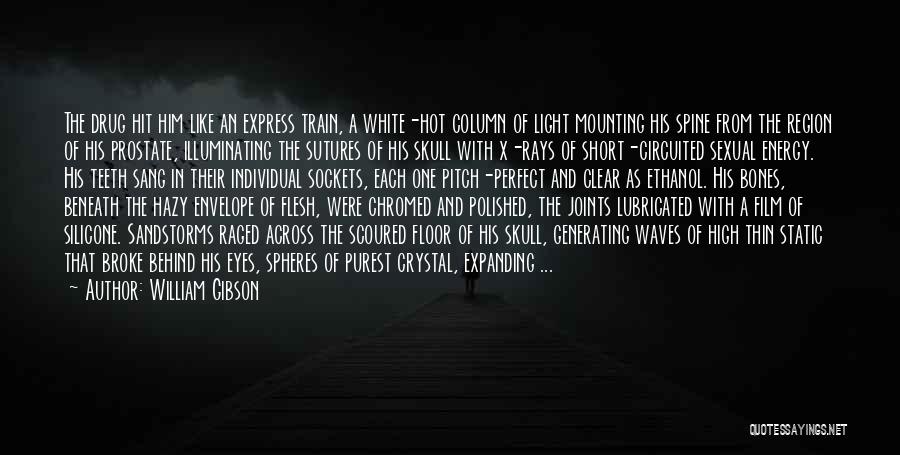 Hot And Short Quotes By William Gibson