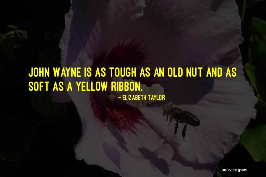 Hot Asphalt Quotes By Elizabeth Taylor Hot Asphalt Quotes By Elizabeth Taylor