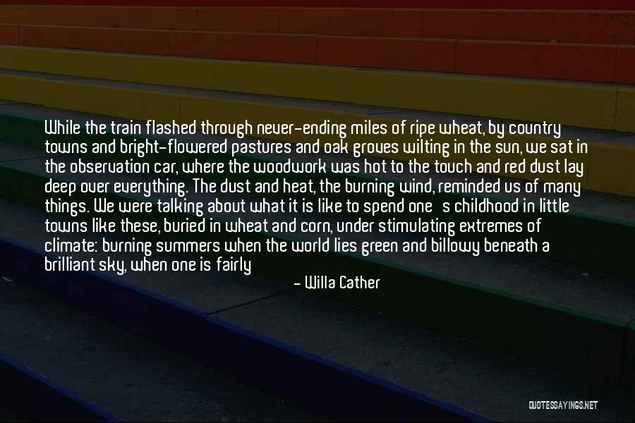 Hot Climate Quotes By Willa Cather