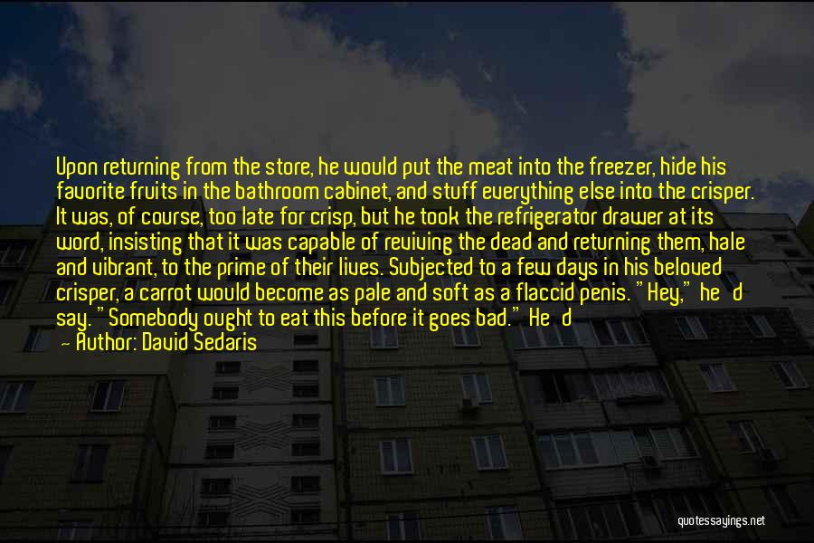 Hot Days Quotes By David Sedaris